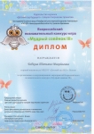 Дипломы за участие во Всероссийском познавательном конкурсе Мудрый совенок 3 - 0003